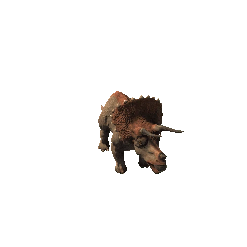 BB_Triceratops_FV_RM_HP (1)